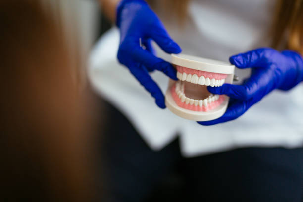 Reliable Pelion, SC  Holistic Dental Services Solutions